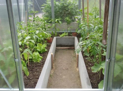 skleník LANITPLAST LIMES Viva V6/2 1,97x2 m PC 4 mm